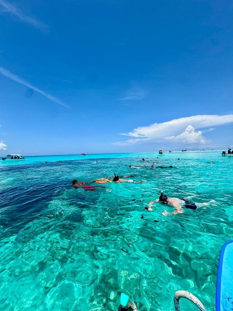 Wybrzeże w okolicy Mnemba — zdjęcie z Zanzibar4U